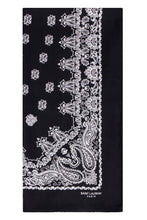 Load image into Gallery viewer, Printed silk scarf

